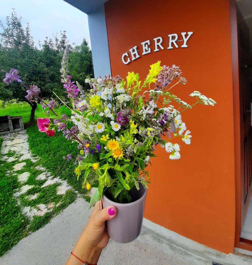 Apartman Cherry Gradac Валево Экстерьер фото